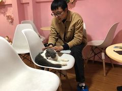 -李小姐の猫咖啡馆(五角场店)
