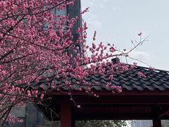 -杭州城北体育公园