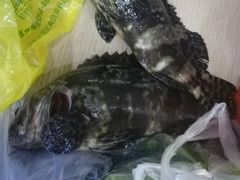 -春园海鲜广场D区6号(钟姐海鲜加工店)
