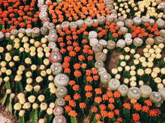 -南通洲际绿博园