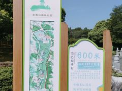 -宜兴龙背山森林公园
