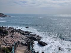 -广东惠东海龟国家级自然保护区