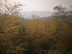 -陶祖圣境风景区