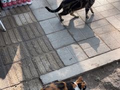 -积水潭(地铁站)
