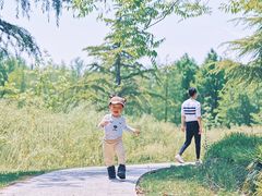 -自然谷恐龙园