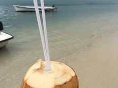 -塞尔夫岛