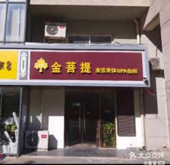 -金菩提·王妃天使背