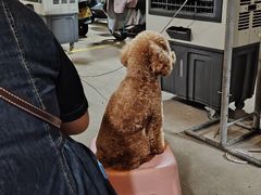 -钱山海鲜大排档