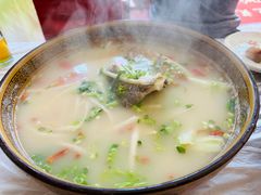 -中国大熊猫保护研究中心雅安碧峰峡基地