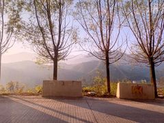 -青峰峡国家森林公园