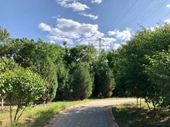 -永定河休闲森林公园