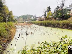-清漾毛氏文化村