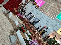 -郑州新郑国际机场-T2航站楼