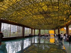 -横道河子东北虎林园