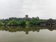 -张坝桂圆林公园