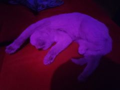 -水玲珑温泉浴场(建设北路富力城店)