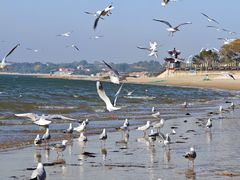 -老虎石海上公园