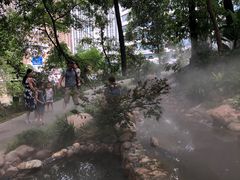 -成都市活水公园