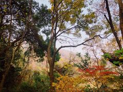 -杭州半山国家森林公园