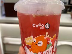 -CoCo都可(大华二店)