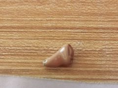 -自然之声助听器·呼吸机(保定清苑店)