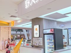 -野人先生现做冰淇淋(北京悠唐购物中心店)