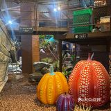 安吉必吃土家菜，没想到去了一家网红打卡店，还是多元化风格