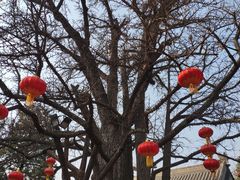 -红螺寺