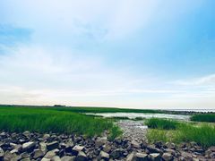 -南汇嘴观海公园