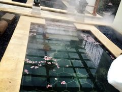 -苏州湾王焰温泉度假酒店