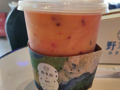 -野萃山·潮汕厚果汁(十亩地店)