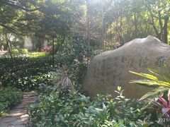 -晓港公园