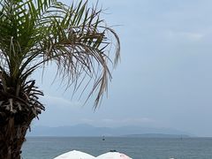 -玫瑰海岸文化旅游度假区