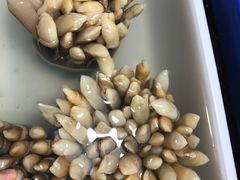 -都斛海鲜街