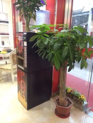 店内一角-甲壳儿美甲美睫