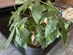 -北纬37°SPA养身会馆(湖西店)