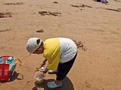 -日照海滨国家森林公园