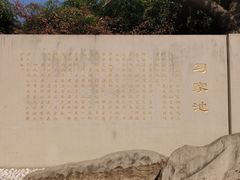 -习家池