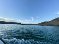 -蘑菇拌面•正宗新疆菜