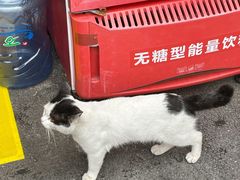 -沙溪兄茶餐厅