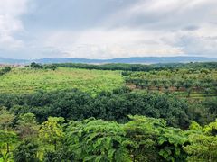 -西双版纳融创皇冠假日度假酒店