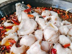 -金三可市井水煮鱼(金碧园店)