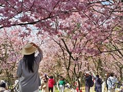 -南山植物园