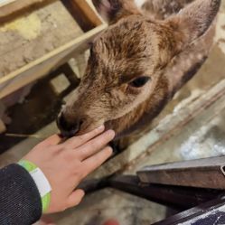 -酷嗒动物文化乐园(cutezoo西溪乐天城店)