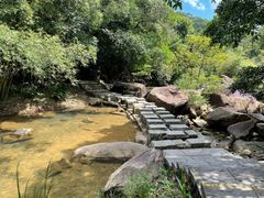 -广州白江湖森林公园