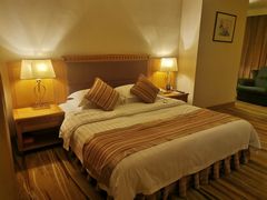 -成都绿洲大酒店(春熙路太古里店)