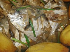 -渔码头食府·20年蓬莱老字号(登州路店)