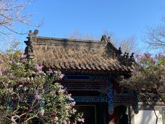 -老龙头景区