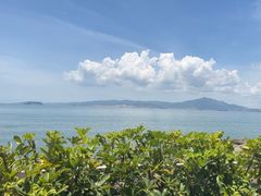 -佳丽海鲜大酒楼(环岛海景店)