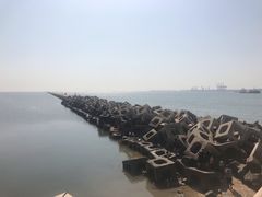 -东疆建设开发纪念公园